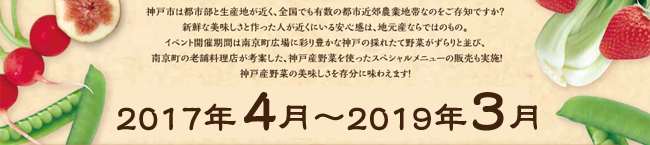 2017年4月～2019年3月